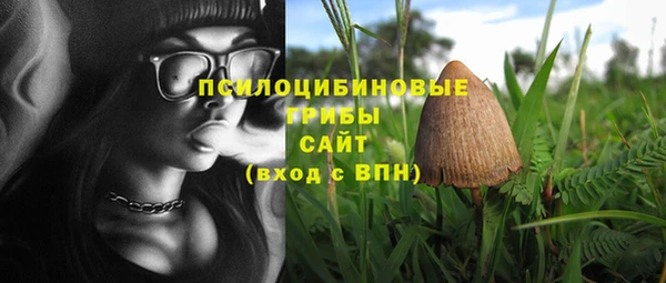 дживик Навашино