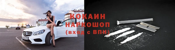 дживик Навашино