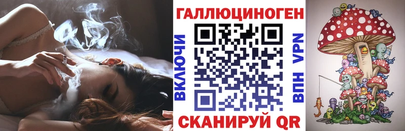 Псилоцибиновые грибы мицелий Шимановск